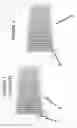 Fig. 02 - Variably heatable radiator