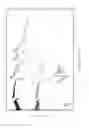 Fig. 10 - Method for detecting shipwrecked vessel and drown victims by using aerial hyperspectral image
