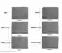 Fig. 04 - Mass spectrometry compatible salt formation for ionic liquid sample preparation