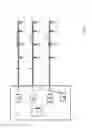 Fig. 07 - High sensitivity fiber optic based detection