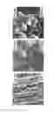 Fig. 09 - Electrode with nanostructured material and conductive metallic substrate