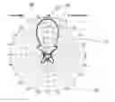 Fig. 01 - Airborne antenna ground projection