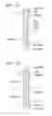 Fig. 19 - Radar cover and method for manufacturing radar cover