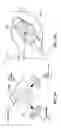 Fig. 05 - Spatially varying skew mirrors