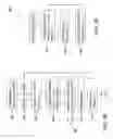 Fig. 08 - Spatially varying skew mirrors