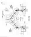 Fig. 10 - Spatially varying skew mirrors
