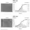 Fig. 02 - Electrostatic charge image developing toner and electrostatic charge image developer