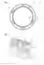 Fig. 03 - Annular rotating bezel system comprising a spring ring