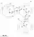 Fig. 07 - Dispersive storage area networks
