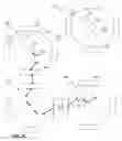 Fig. 08 - Dispersive storage area networks