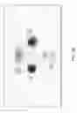 Fig. 30 - Outcome analysis for graph generation