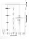 Fig. 08 - Identification and assignment of rotational spectra using artificial neural networks