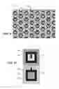 Fig. 06 - Operating a fingerprint sensor comprised of ultrasonic transducers