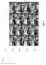 Fig. 07 - Human action data set generation in a machine learning system