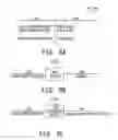 Fig. 09 - Ink file searching method, apparatus, and program