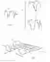 Fig. 06 - VECTOR-BASED CHARACTERIZATIONS OF PRODUCTS AND INDIVIDUALS WITH RESPECT TO CUSTOMER SERVICE AGENT ASSISTANCE