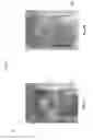 Fig. 08 - Method and system for robust image detection for automatic detection of symptoms