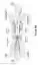 Fig. 09 - Stereo depth estimation using deep neural networks