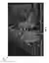 Fig. 07 - APPARATUSES, SYSTEMS, AND METHODS FOR DISPLAYING MIXED BIT-DEPTH IMAGES