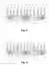 Fig. 06 - Dishing prevention dummy structures for semiconductor devices