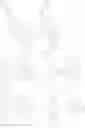 Fig. 79 - Organic light emitting device