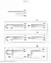 Fig. 07 - Electronic device and method of forming flexible display thereof