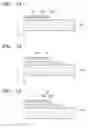 Fig. 07 - Display apparatus having protective layer and method of manufacturing the same