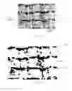 Fig. 04 - Catalyst laminate, membrane electrode assembly, electrochemical cell, stack, water electrolyzer, and hydrogen utilizing system