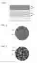Fig. 02 - Solid electrolyte containing composite metal halide containing magnesium, alkaline-earth metal, gallium, and halogen, and secondary battery including the same