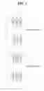 Fig. 08 - Omnidirectional antenna for mobile communication service