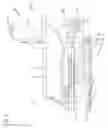 Fig. 08 - Lever-type connector