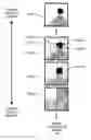 Fig. 01 - Decomposition of residual data during signal encoding, decoding and reconstruction in a tiered hierarchy