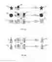 Fig. 06 - Data compression system