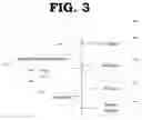 Fig. 04 - Universal repeater, a method of operating a universal repeater and a network