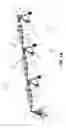 Fig. 02 - Irrigation system for applying applicant having a microbe concentration to enhance crop production