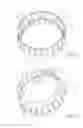 Fig. 07 - MEDICAL DEVICE FOR PRESERVING EXPLANTED CORNEAS