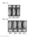 Fig. 06 - METHOD FOR MANUFACTURING MODIFIED GLUTEN