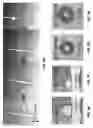 Fig. 06 - METHODS AND COMPOSITIONS FOR WEARABLE TEXTILE ELECTRONIC DEVICES