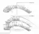 Fig. 01 - NON-ADHESIVE FALSE EYELASH SYSTEM AND METHOD