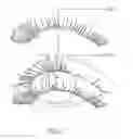 Fig. 02 - NON-ADHESIVE FALSE EYELASH SYSTEM AND METHOD
