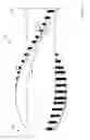 Fig. 99 - Rotatable brush for surface cleaning apparatus