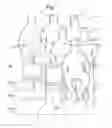Fig. 02 - Flexible crowd seating