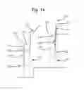 Fig. 09 - Flexible crowd seating