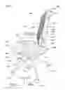 Fig. 09 - Backrest, lumbar support, chair, attachment structure for optional member, optional member, and furniture