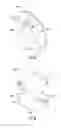 Fig. 06 - Corner wall mountable hanging structure