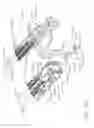 Fig. 22 - Surgical instrument comprising co-operating lockout features