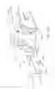 Fig. 48 - Surgical instrument comprising co-operating lockout features