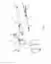 Fig. 02 - Mechanisms for compensating for drivetrain failure in powered surgical instruments