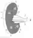 Fig. 02 - Hybrid fixation features for three-dimensional porous structures for bone ingrowth and methods for producing
