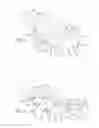 Fig. 05 - Radiolucent trial